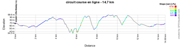 Le profil du circuit de la course en ligne des Championnats de France 2015