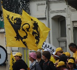 the Flanders flag