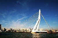 Erasmusbrug Rotterdam