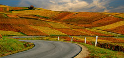 Route de Champagne close to Epernay - © Vincent Brassinne, Creative Commons licence