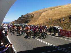 Le peloton sur Sellicks Hill