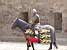 Carcassonne: one of the horseriders of the show (223x)