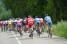 The back of the peloton (282x)