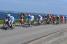 The peloton at the sea side (417x)