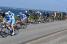 The peloton at the sea side (3) (422x)