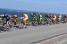The peloton at the sea side (4) (411x)