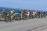 The peloton at the sea side (5) (392x)