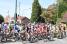 The peloton back in Isbergues (270x)