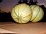 Een stilleven van twee meloenen (249x)