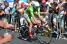 Cadel Evans (BMC Racing Team) (372x)