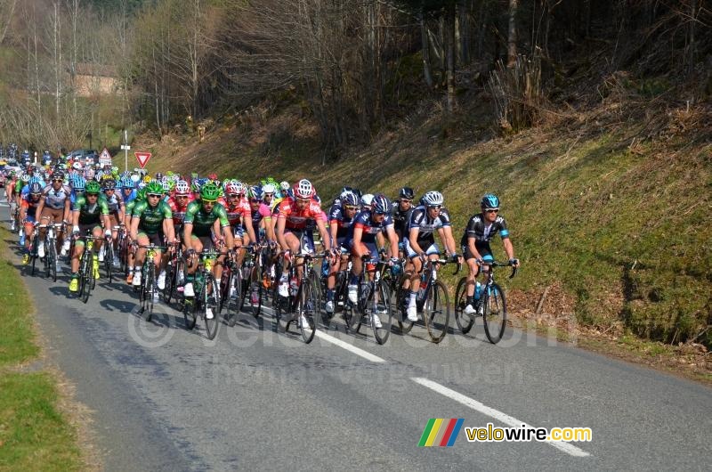 The peloton at the foot of the col du Champ Juin