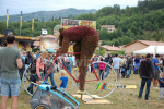 A cyclist of flowers in Tallard (474x)