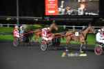 Armindo Fonsca lors de la course des sulkys (473x)