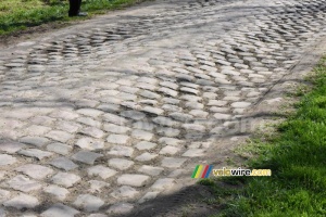 The cobbles of the section between Viesly and Quiévy (405x)