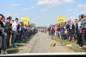 Un public digne du Tour de France (311x)