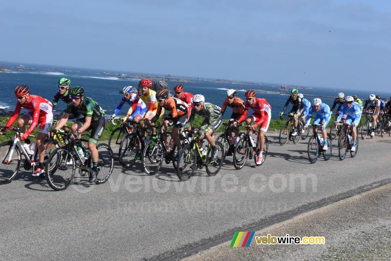 The peloton at the sea side (2)