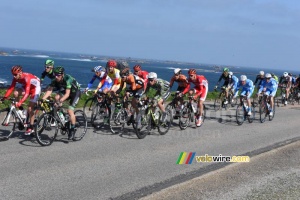 The peloton at the sea side (2) (390x)
