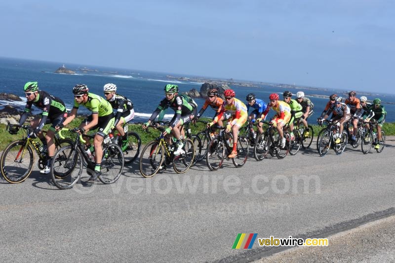 The peloton at the sea side (5)