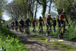 L'quipe Roompot en tte du peloton (504x)