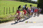 Het peloton onder aanvoering van Cofidis (371x)