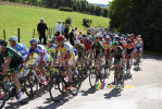 Het peloton in de klim van Teneur (2) (362x)