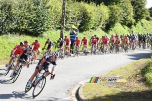 The peloton led by IAM and Cofidis in Lisbourg (255x)