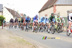 The peloton chasing the 31 riders (339x)