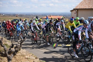 The peloton with Michael Matthews on its way to km 0 (340x)