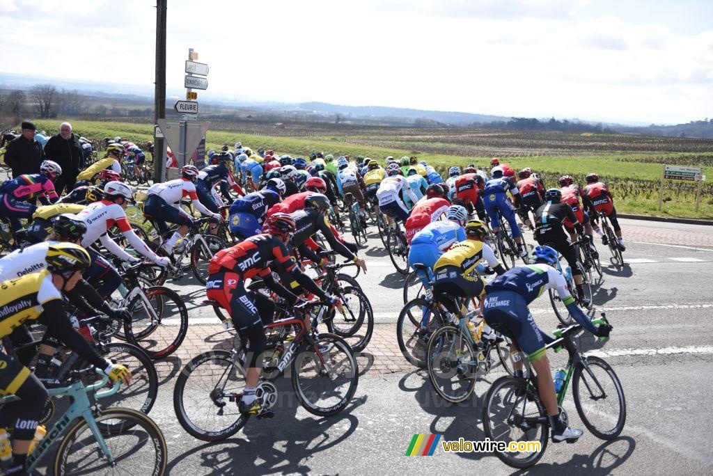 The peloton on its way to km 0 (3)