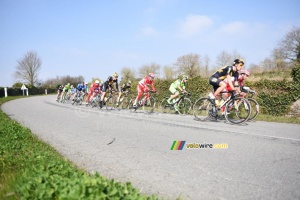 The peloton in the nature (2) (374x)