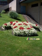 Saint-Jean-de-Maurienne: a flower polka-dot jersey