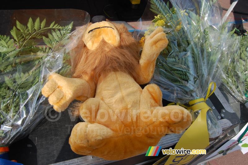 The LCL lion for the yellow jersey winner