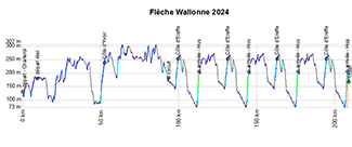 The profile of the Flèche Wallonne 2024