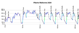 Het profiel van de Waalse Pijl 2024