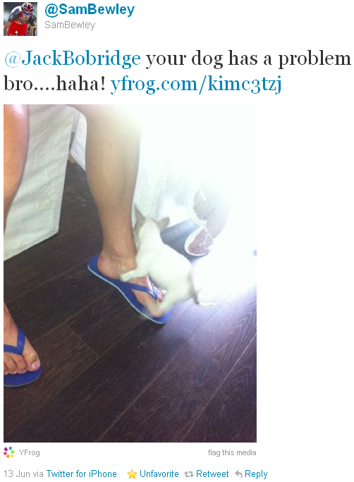Sam Bewley - tweet of the week Sam Bewley - tweet of the week