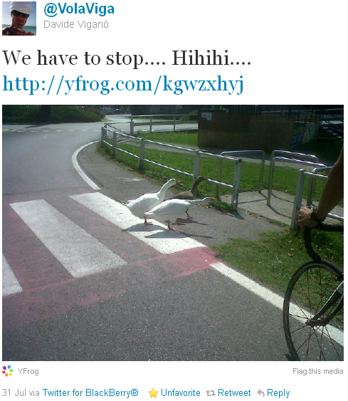 Davide Viganò - tweet of the week Davide Viganò - tweet of the week