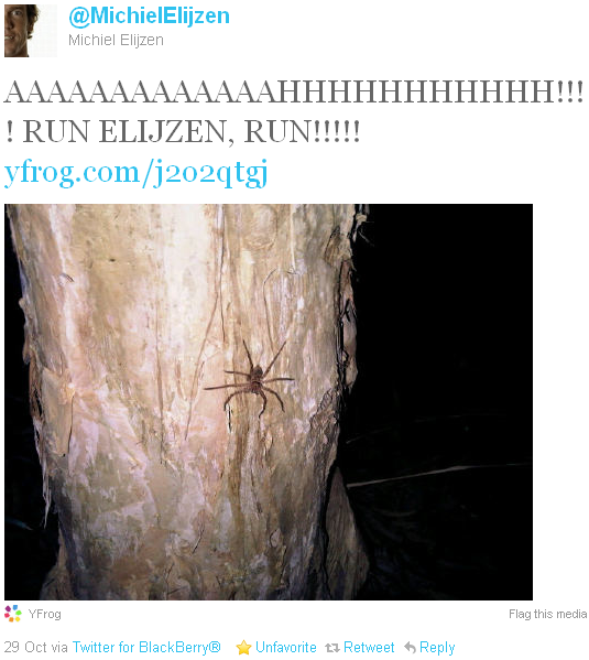 Michiel Elijzen - tweet of the week Michiel Elijzen - tweet of the week
