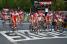 The Cofidis team (294x)