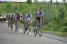 The leading group (657x)