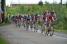Rabobank Continental Team in the peloton (835x)