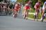 Cofidis in the peloton (320x)