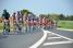 A part of the peloton goes on the left side (507x)