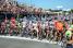 Ready for the start (588x)