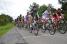 The peloton in Mondrepuis (381x)