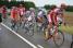 The peloton in the feeding zone (2) (285x)