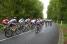 The peloton on the Cte d'Eppe-Sauvage (3) (440x)