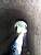 Tunnel over the 'Canal du Midi' (315x)