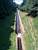 The Canal du Midi (280x)