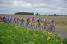 The peloton (3) (520x)