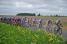The peloton (4) (707x)